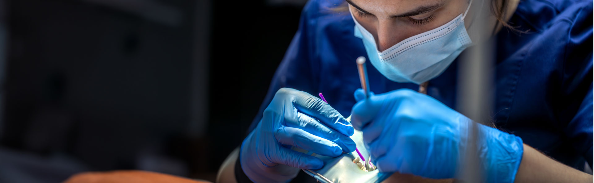 Operatoria Dental