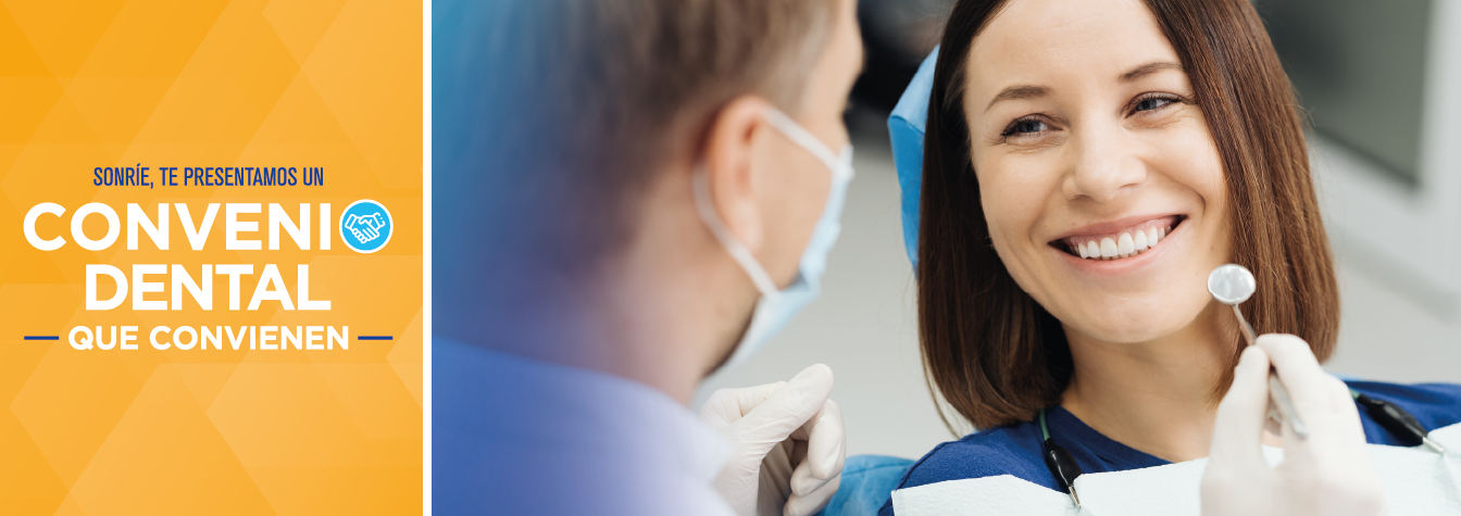 Dental Clinik - Odontología Integral - ¿Ya conoces la estructura